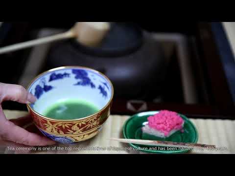 Matcha 